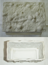 Váza s motivy mušlí