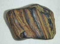 Pravděpodobně zkamenělé dřevo