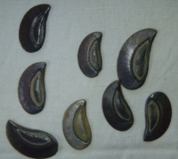 Sada mušlí, 8 kusů