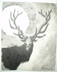 Jelen při úplňku, originál B. Forman