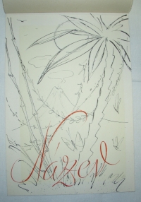 Přebal knihy, originál B. Forman