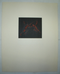 Boj, originál B. Forman