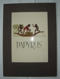 Žně papyru v Egyptě